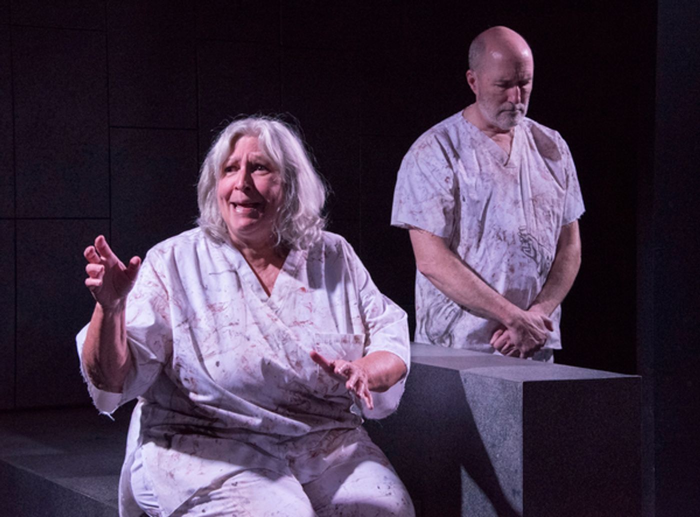 Photo Flash: Firehouse Theatre Presents SONGS FROM BEDLAM Photo Flash: Firehouse Theatre Presents SONGS FROM BEDLAM Image